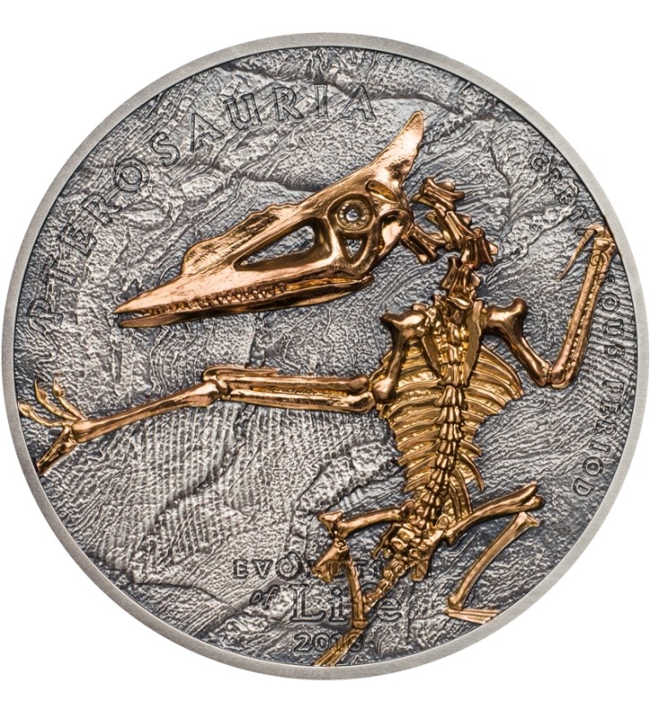 500 Togrog Pterozaur - Ewolucja Życia 500 Togrog Pterozaur - Ewolucja Życia