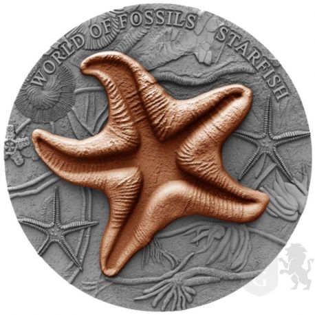 2$ Starfish World of Fossils 