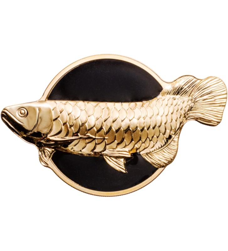 10$ Golden Arowana - Dragonfish 10$ Golden Arowana - Dragonfish