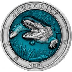 5$ Crocodile - Underwater World