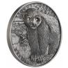 2$ Honey Badger - Brave Animals
