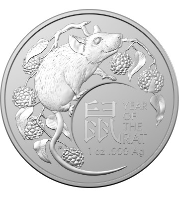 1$ Rok Myszy