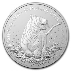 1$ Tygrys Sumatrzański