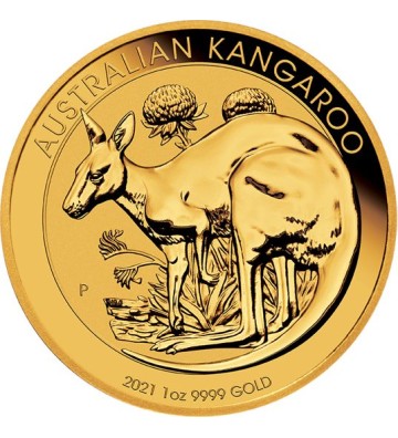 100$ Kangaroo 2021