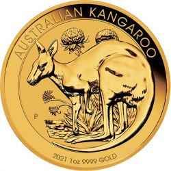 100$ Kangur