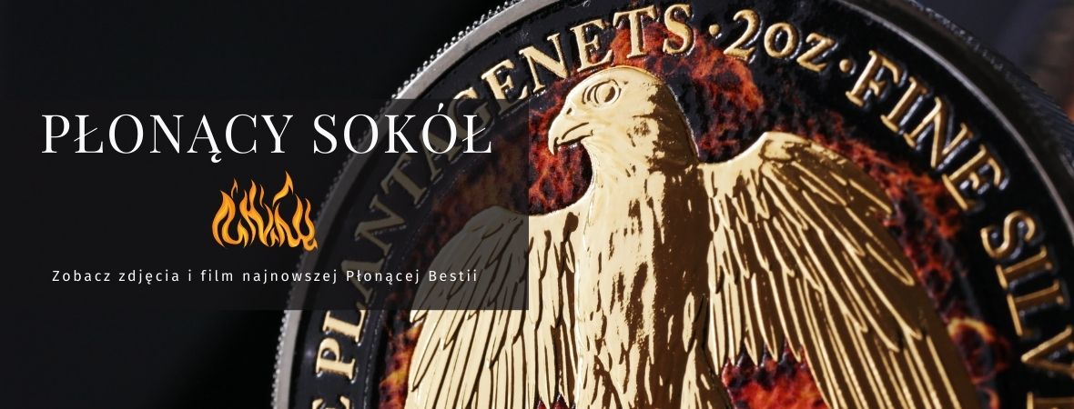 Płonący Sokół